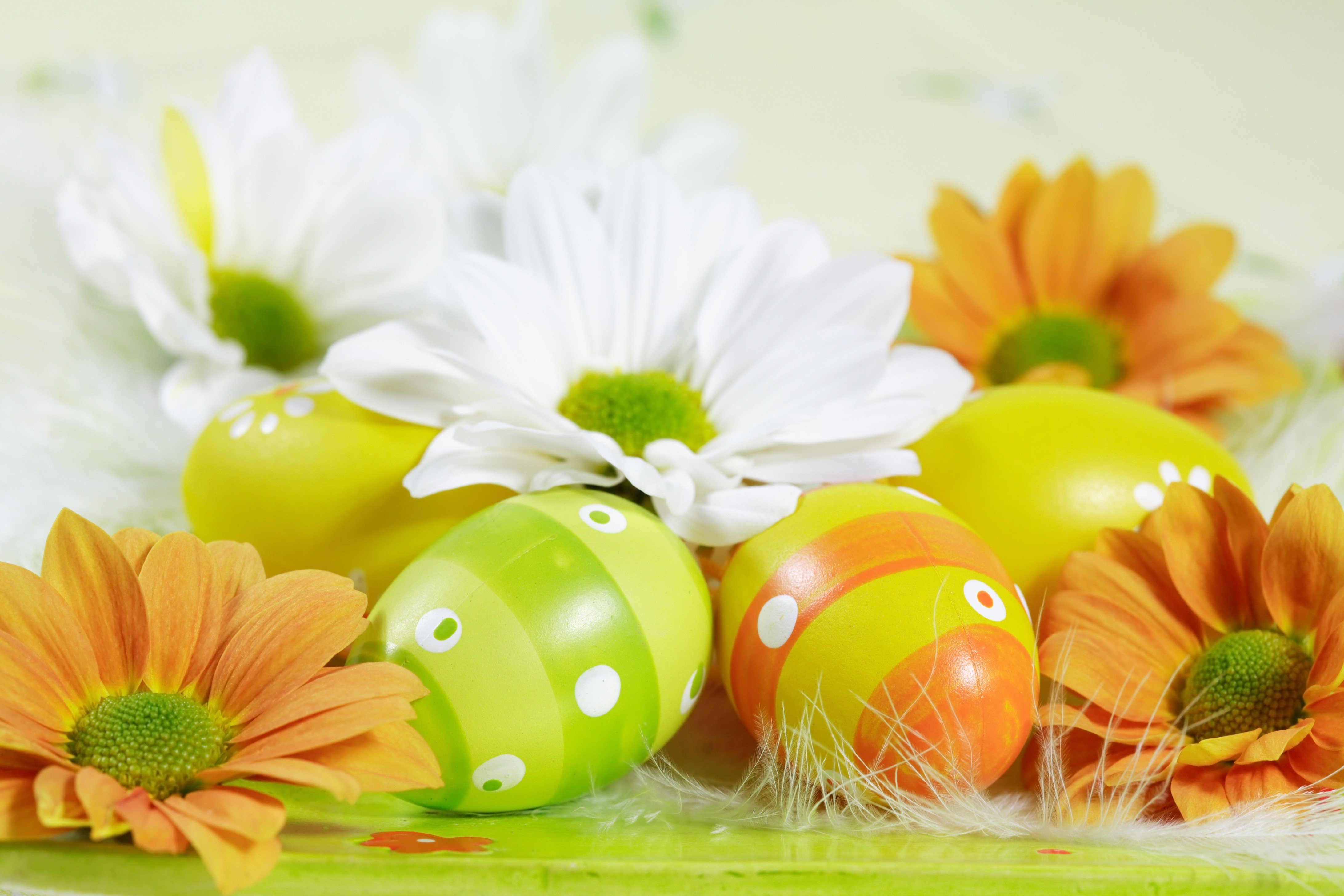 easter, Holiday Wallpaper