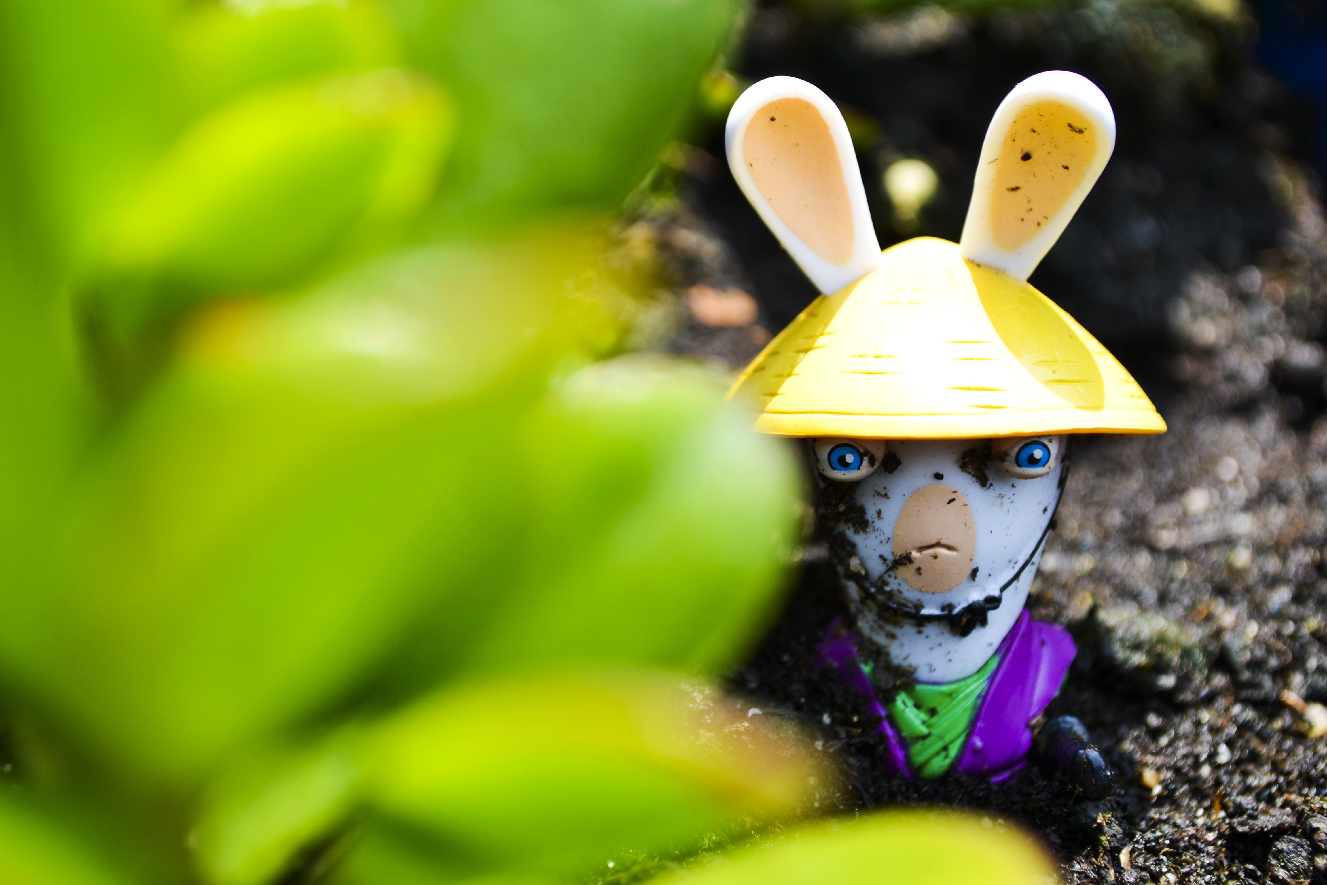 bunnies, Green, Yellow, Purple, Harakiri, Raving, Rabbids Wallpaper