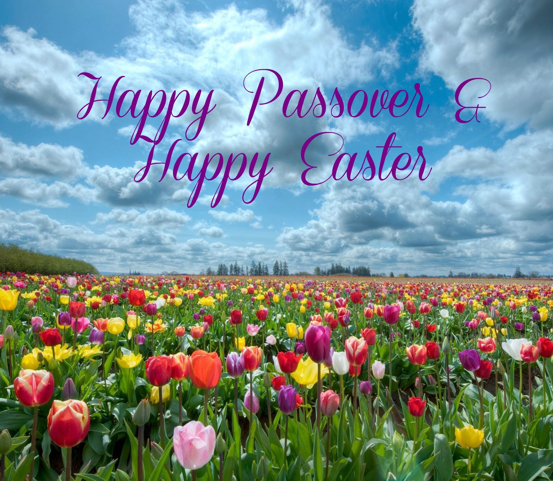 easter, Holiday Wallpaper