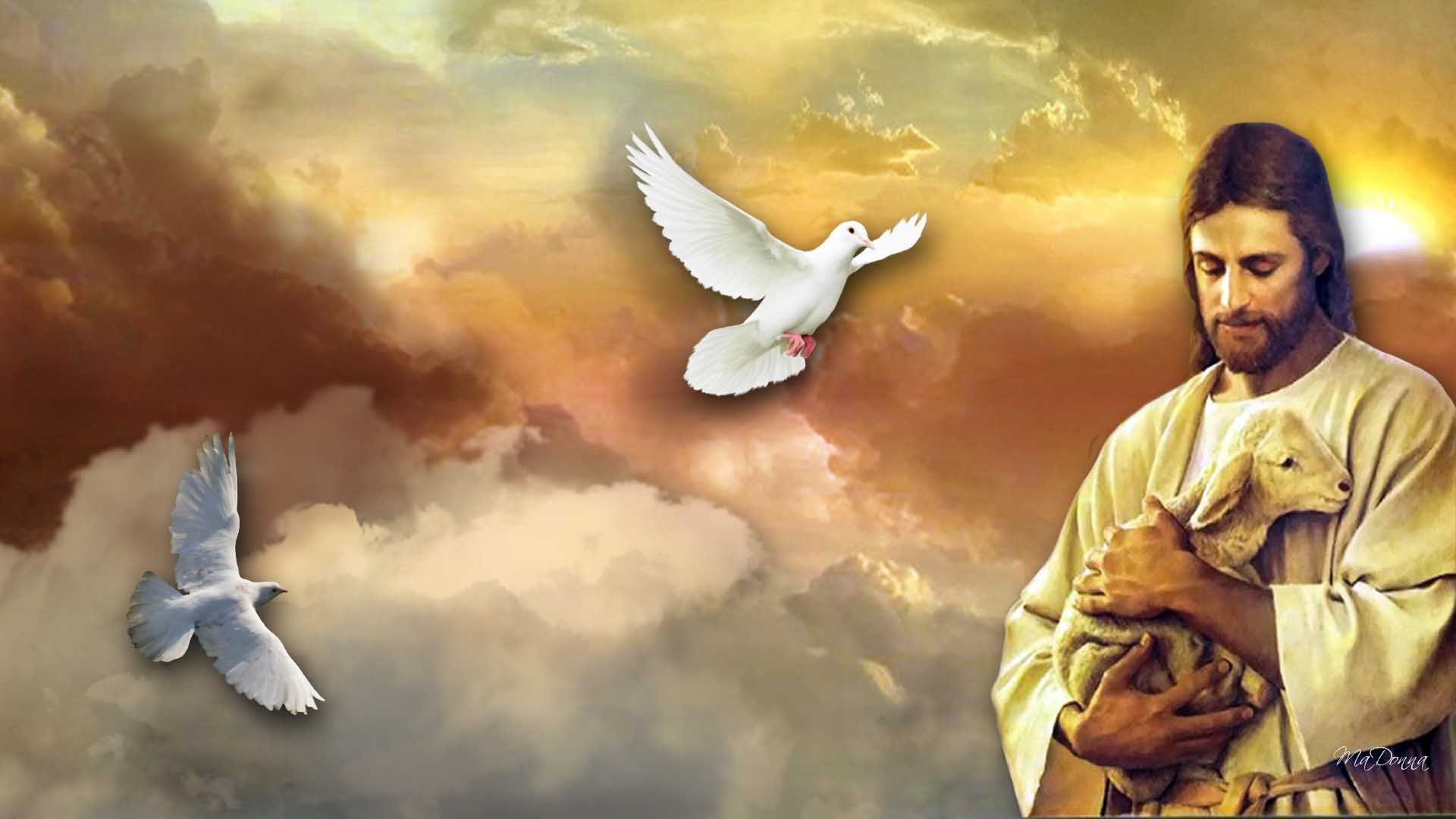 jesus lamb of god background