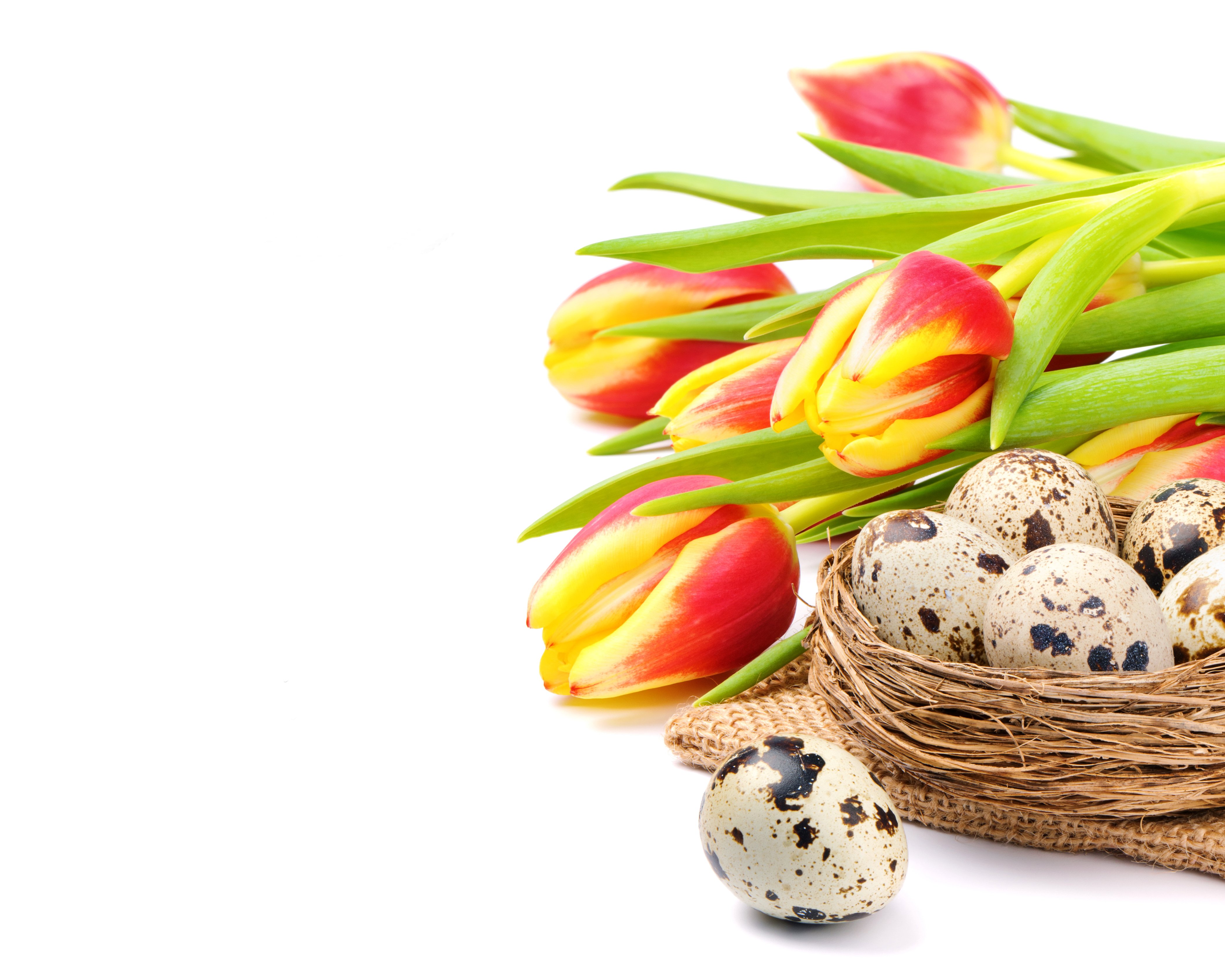 easter, Holiday Wallpaper