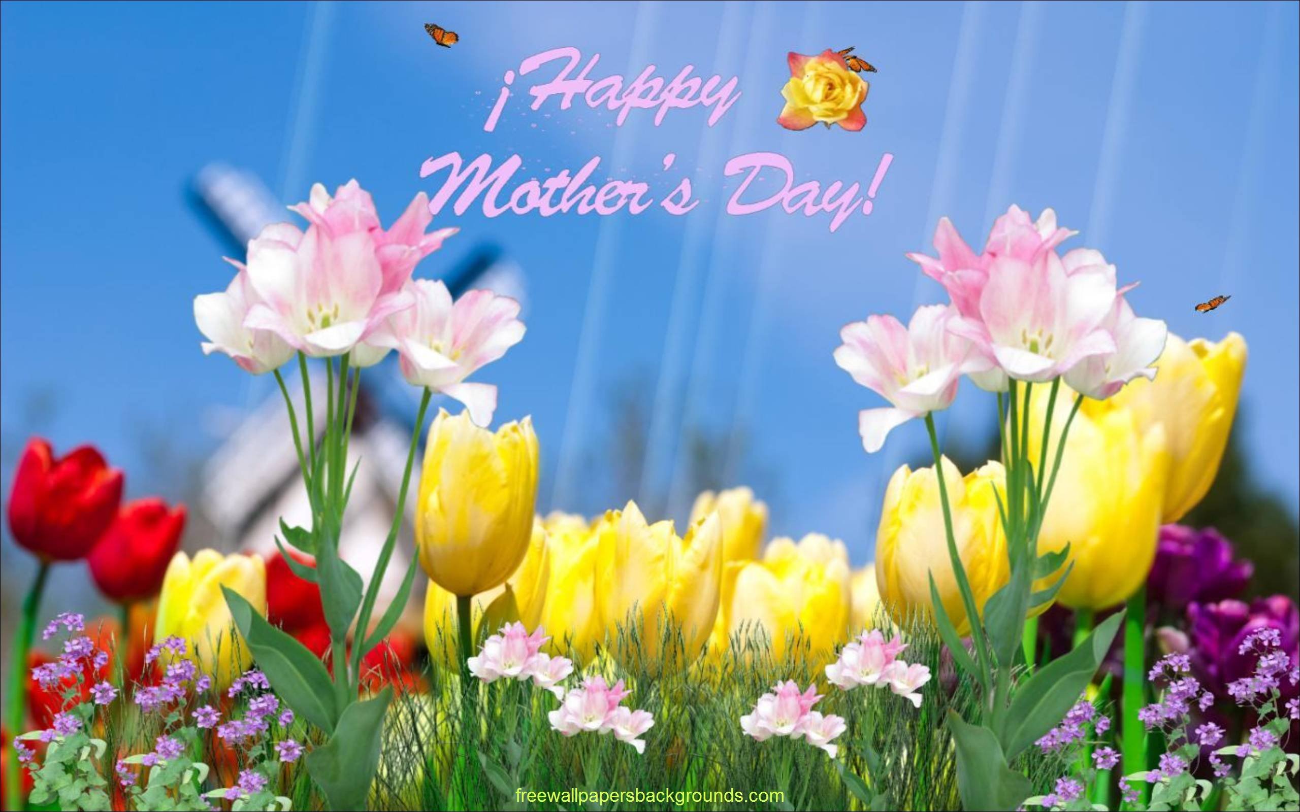 mothers, Day, Mom, Mother, Family, 1mday, Mood, Love, Holiday Wallpaper