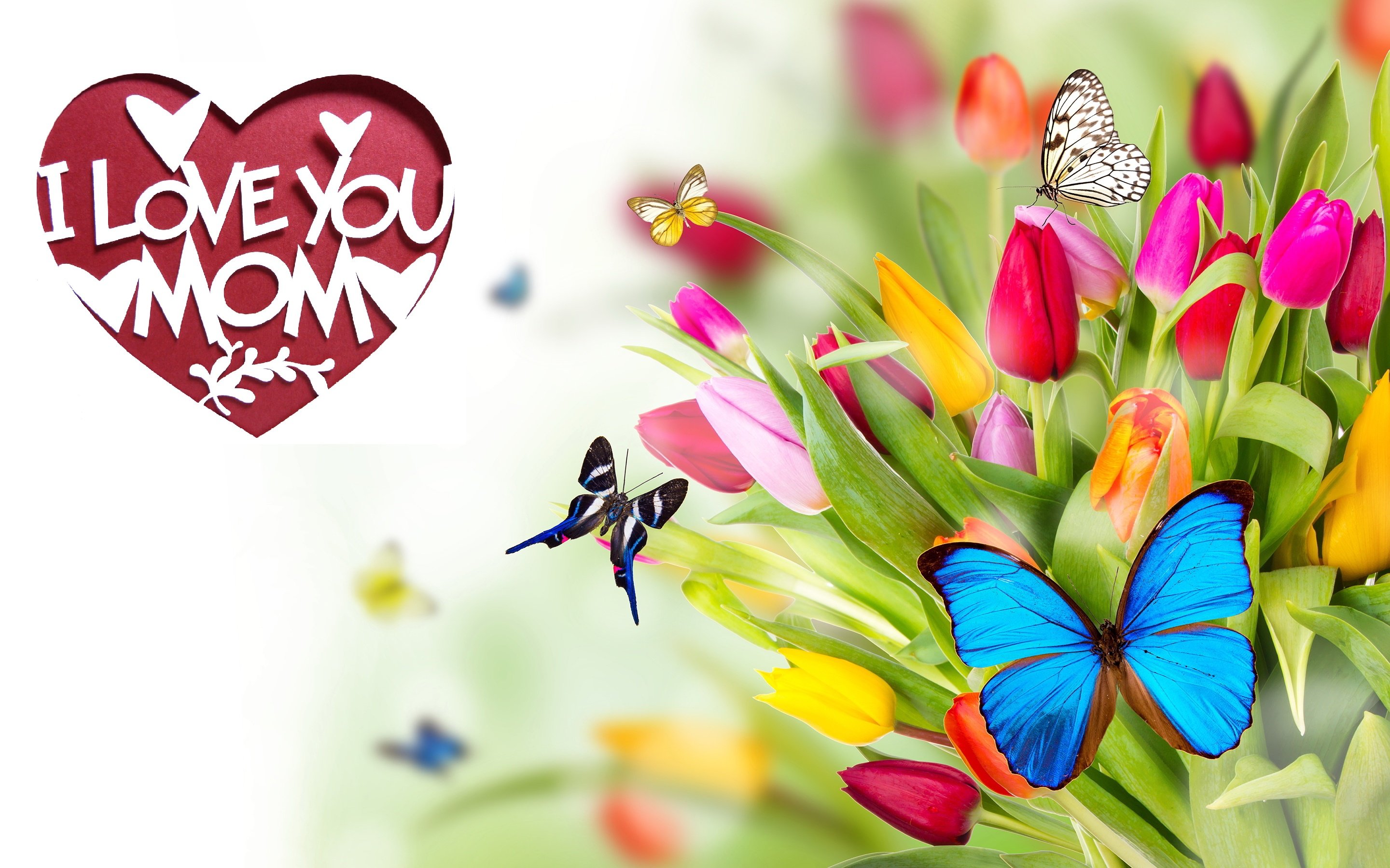 mothers, Day, Mother, Mom, Holiday Wallpaper