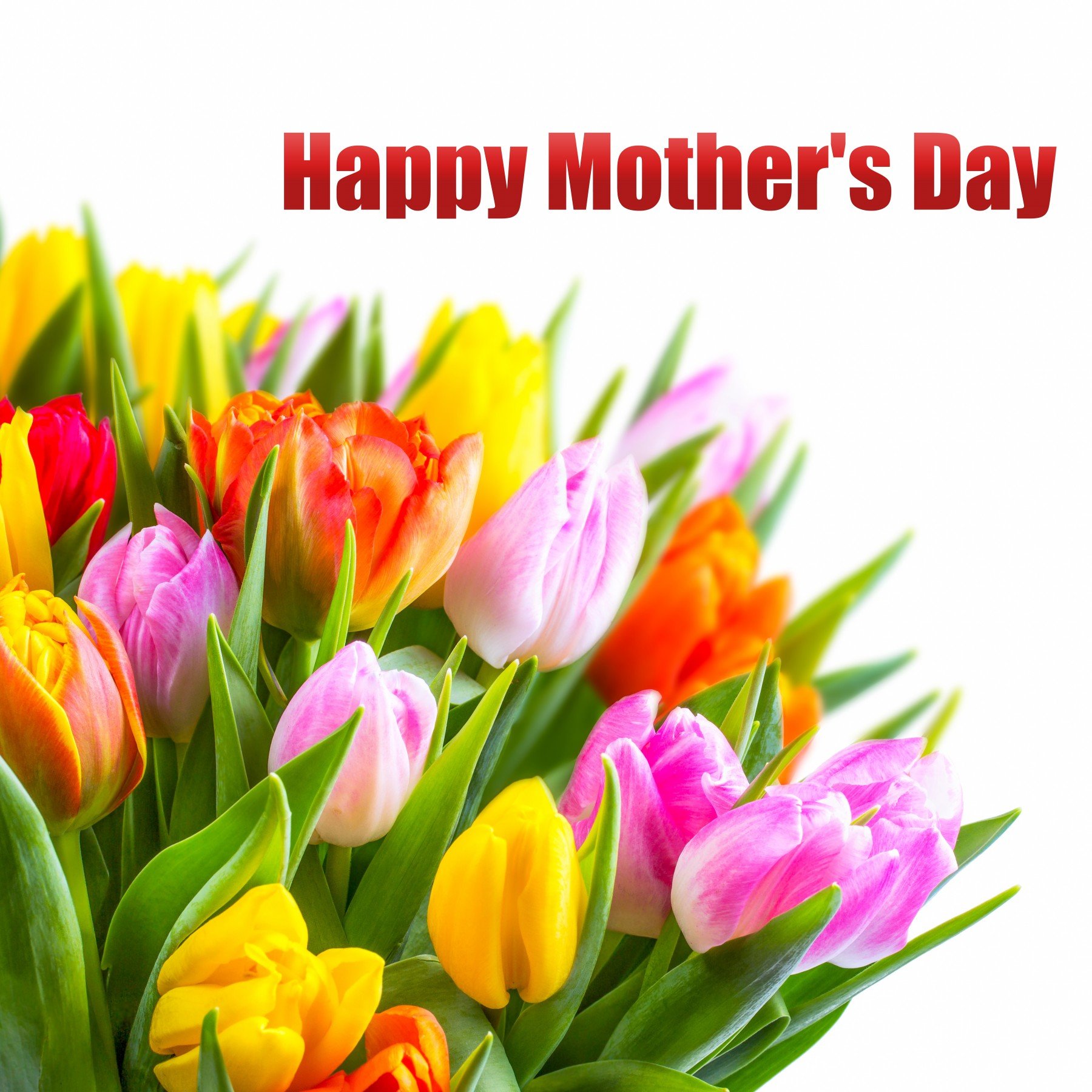 mothers, Day, Mother, Mom, Holiday Wallpaper