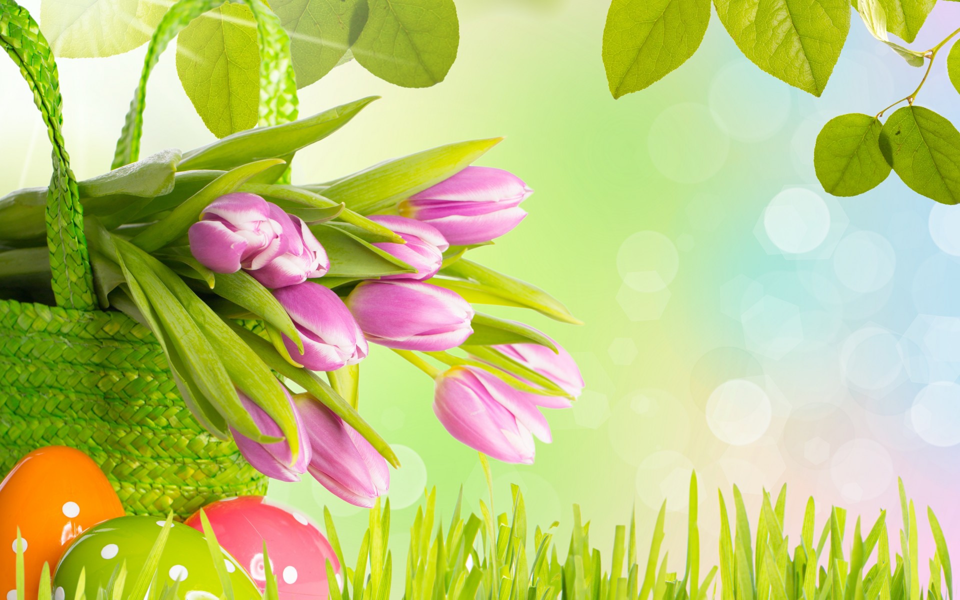 flowers, Tulips, Grass, Leaves, Spring, Eggs, Easter Wallpaper