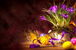 holidays, Easter, Crocuses, Eggs, Flowers