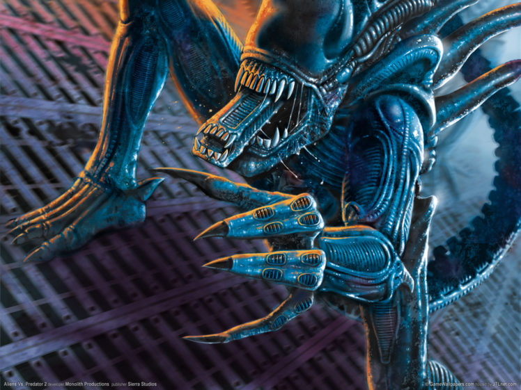 aliens, Vs, , Predator, Games, Sci fi, Alien HD Wallpaper Desktop Background