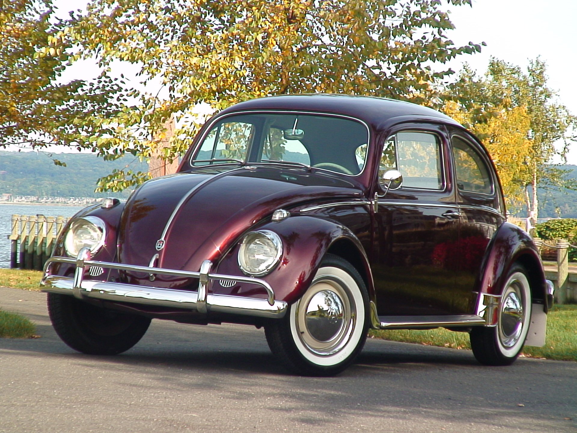 volkswagon, Beetle, Bug Wallpaper