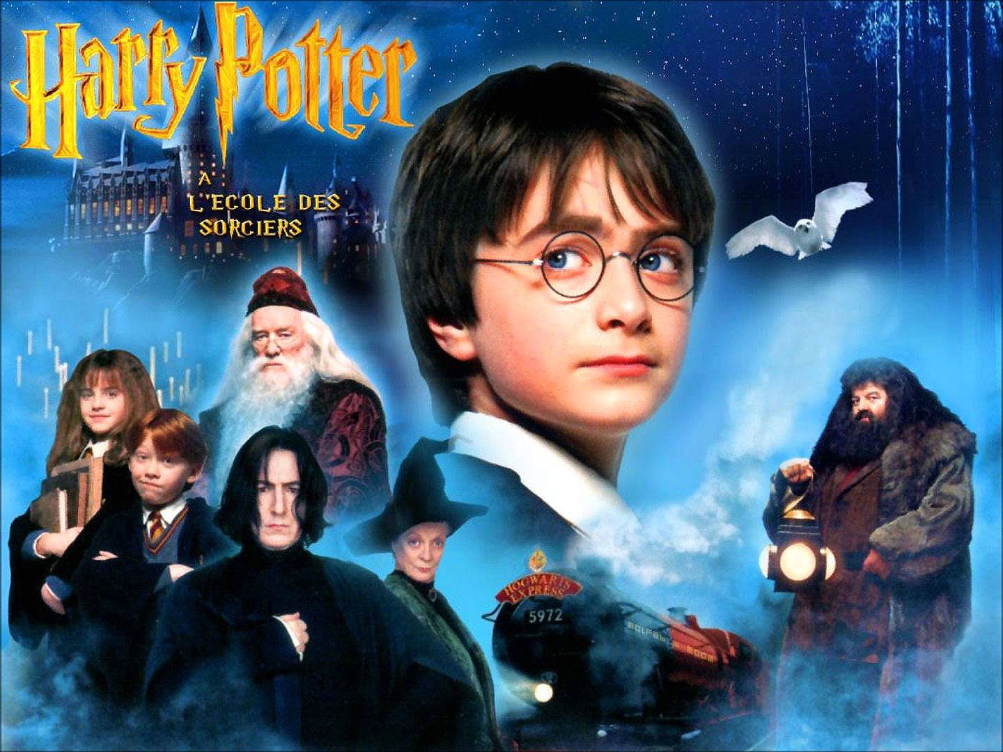 harry, Potter, Fantasy, Adventure, Witch, Series, Wizard, Magic, Poster, Christmas Wallpaper