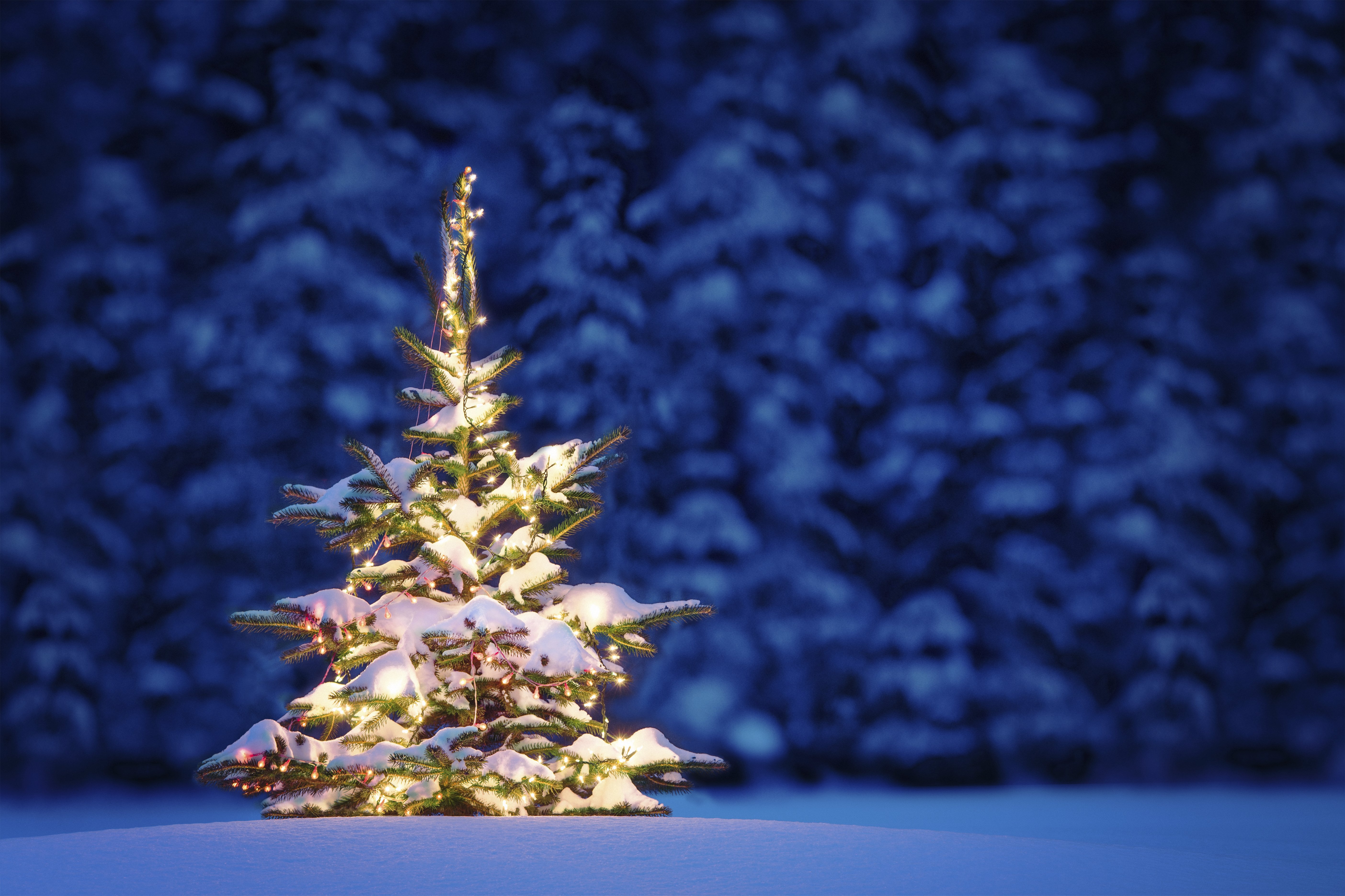christmas, Holiday, Seasonal, New, Year Wallpaper
