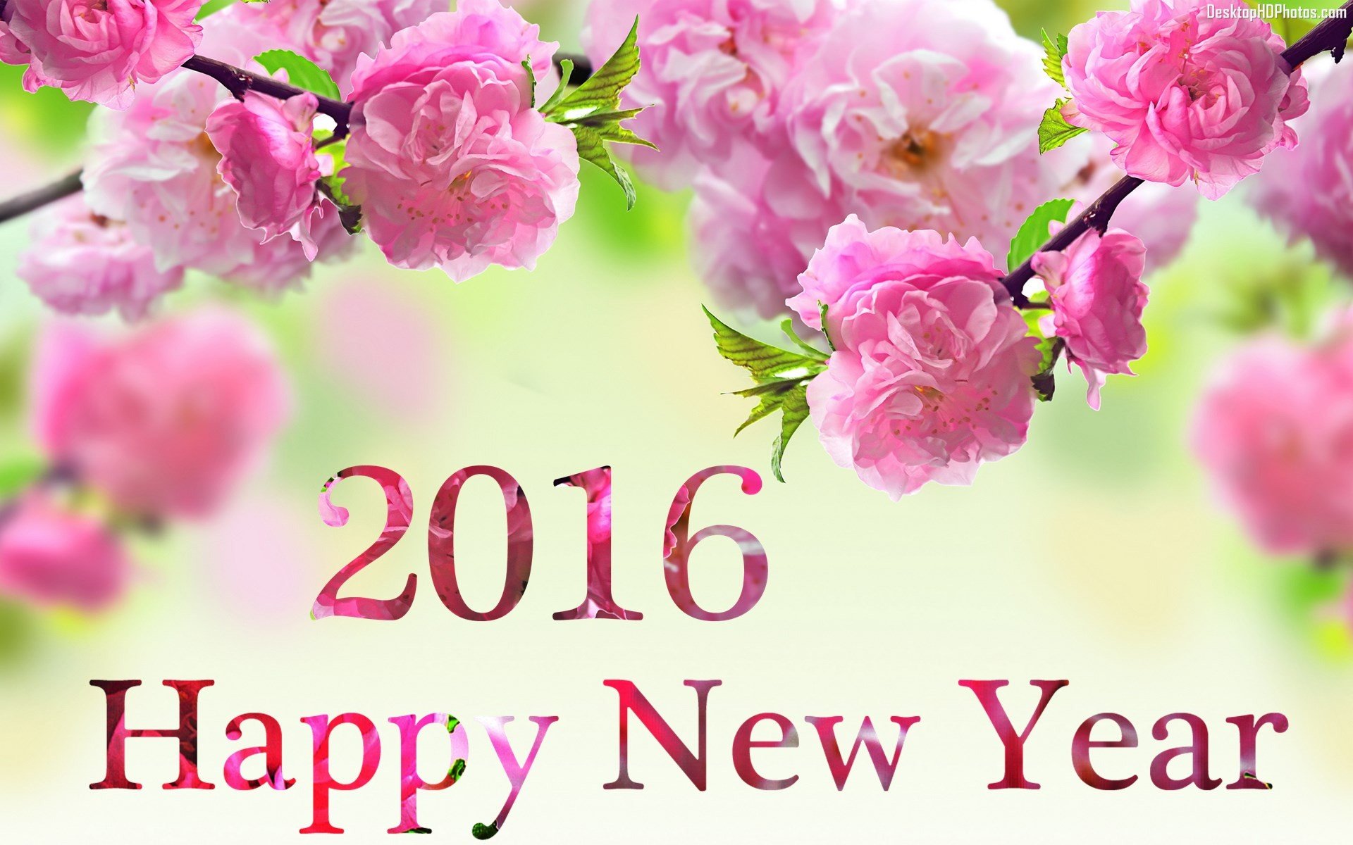 2016, New, Year, Holiday, Seasonal, Christmas Wallpaper