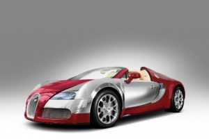 2010, Bugatti, Veyron, Grand, Sport, Roadster, 669, Supercar