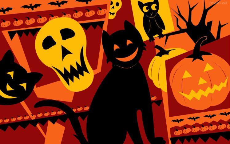 gato, Negro, Halloween HD Wallpaper Desktop Background