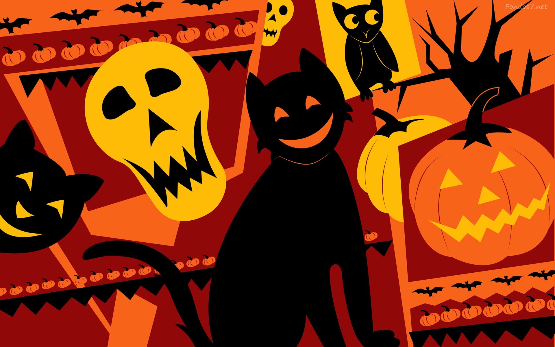 gato, Negro, Halloween Wallpaper