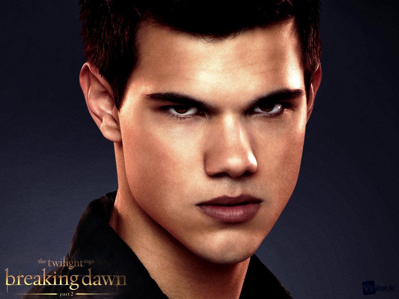 twilight, Drama, Romance, Vampire, Werewolf, Fantasy, Series Wallpapers ...