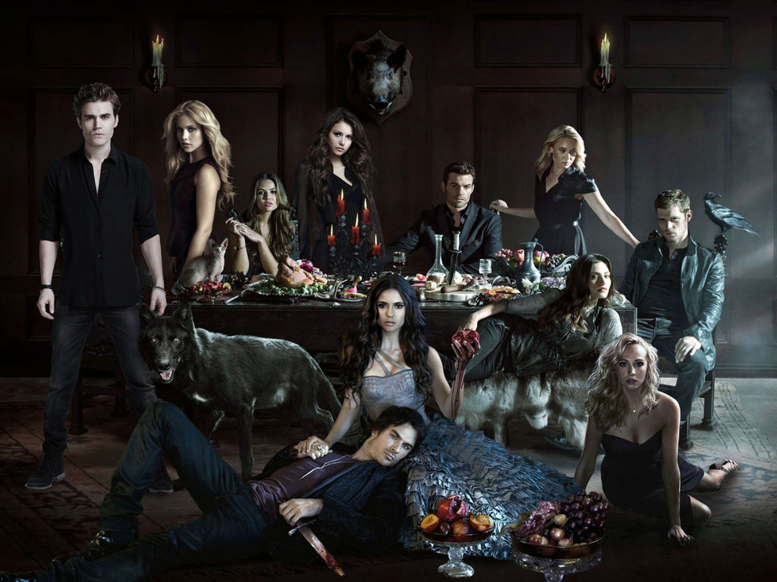 vampire, Diaries, Drama, Fantasy, Drama, Horror, Series, Romance Wallpaper