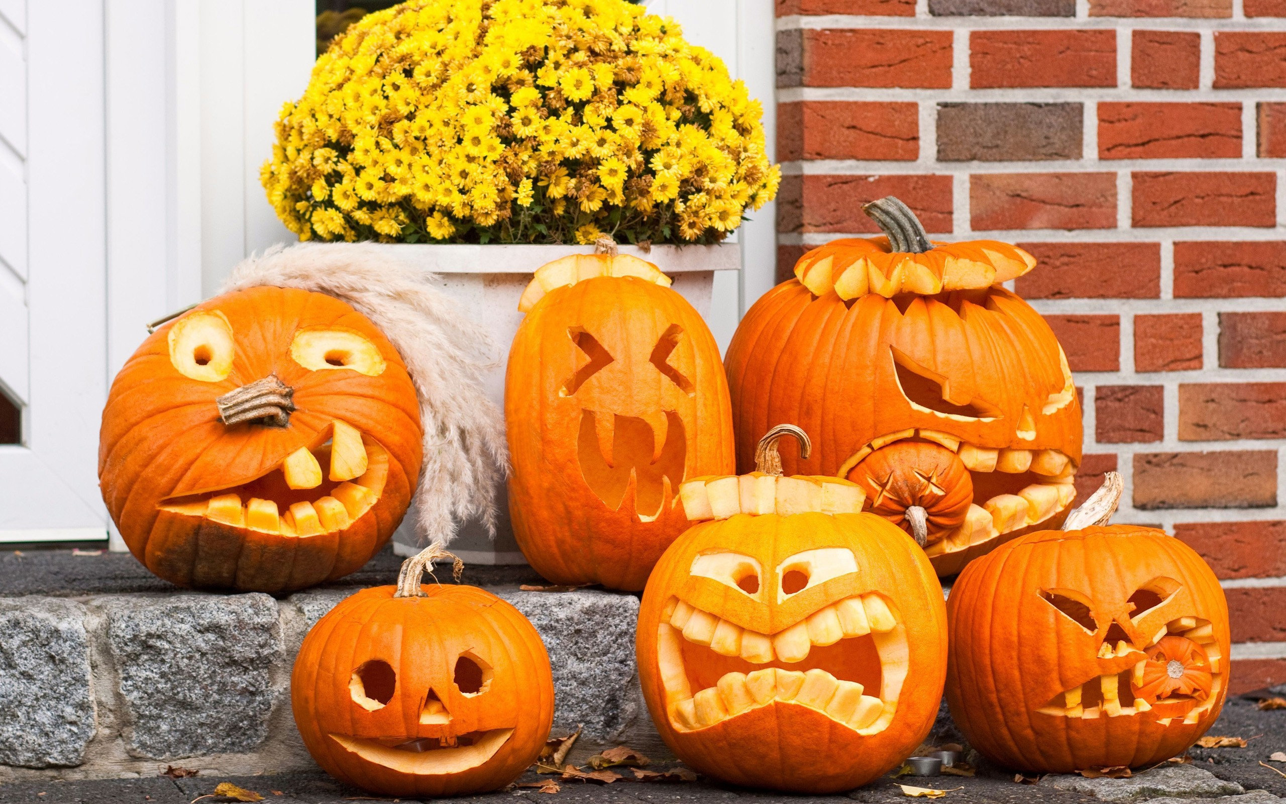 pumpkin, Funny, Faces Wallpaper