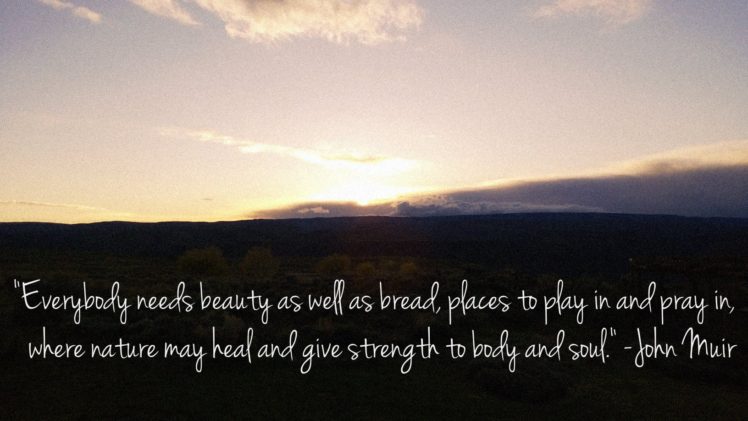 earth, Day, Nature, Earthday, Poster, Holiday, Spring, April, Planet, Poster, Text, Quote HD Wallpaper Desktop Background