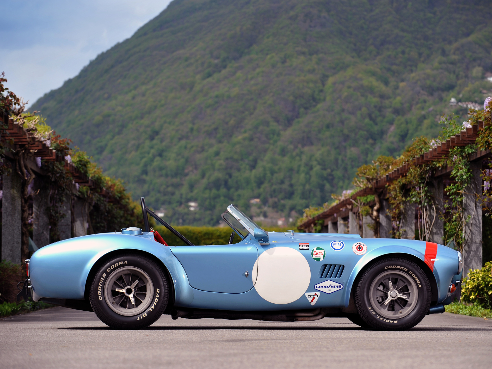 1964, Shelby, Cobra, Competition, Roadster, Race, Racing, Muscle, Classic, Supercar, Supercars Wallpaper