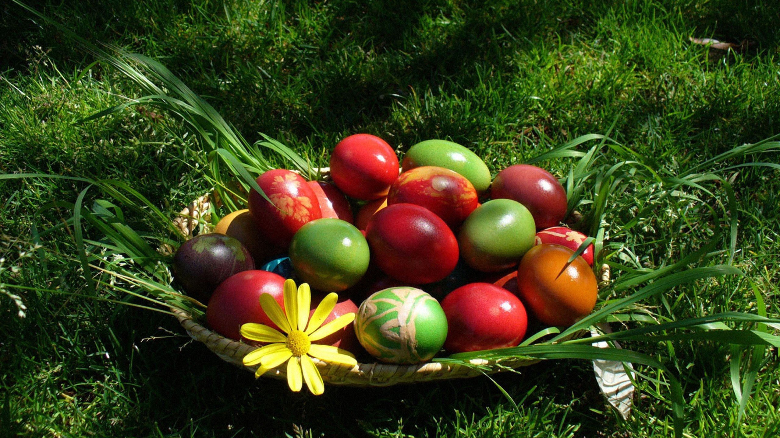 huevos, Pascua, Pintados, Hierba Wallpaper