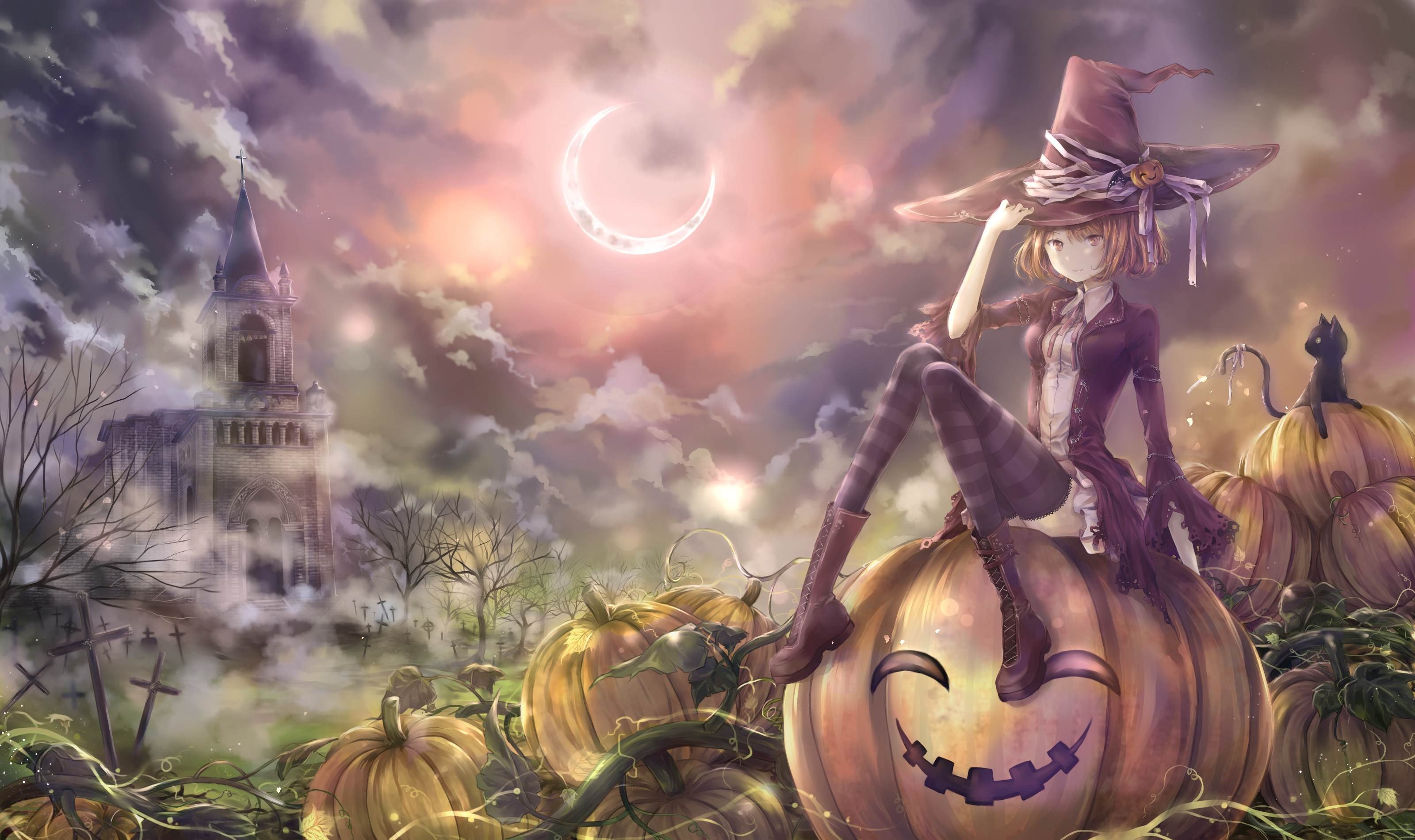 bruja, Halloween, Calabaza Wallpaper