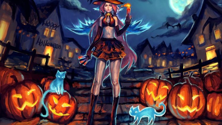 bruja, Halloween, Calabaza, Gatos HD Wallpaper Desktop Background