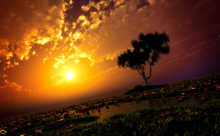 original, Clouds, Flowers, Grass, Original, Scenic, Sky, Sunset, Tree, Water, Y k HD Wallpaper Desktop Background
