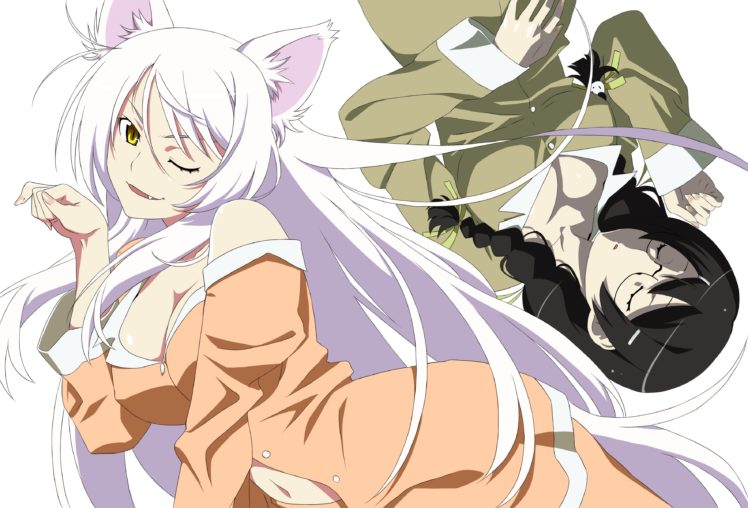 Bakemonogatari Animal Ears Bakemonogatari Catgirl Cleavage