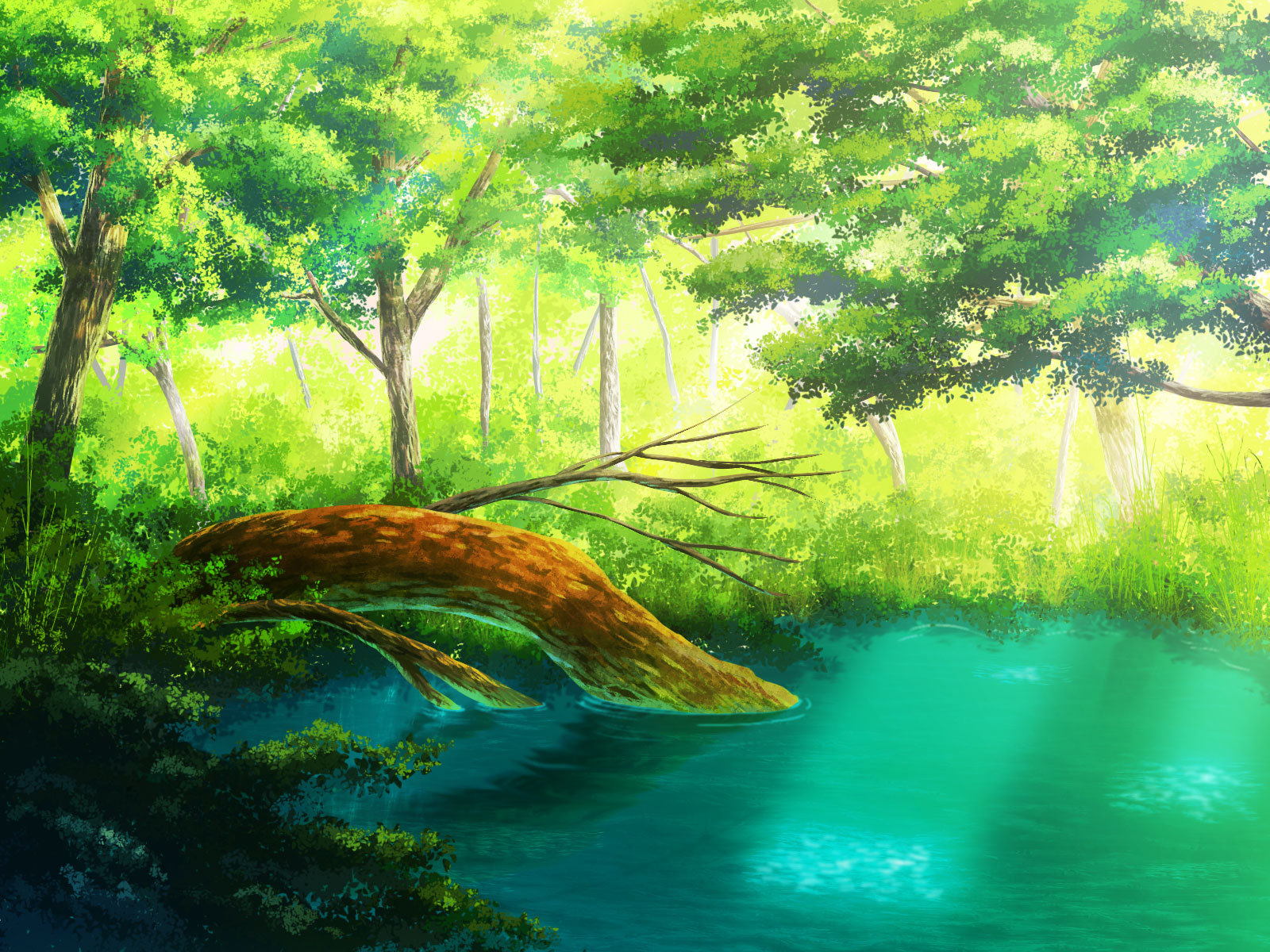 original, Forest, Grass, Leaves, Original, Scenic, Tree, Water, Yuzuki, Kaoru Wallpaper