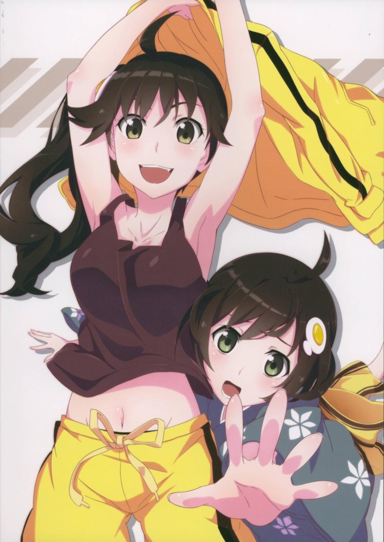 anime, Anime, Girls, Nisemonogatari, Araragi, Karen, Araragi, Tsukihi HD Wallpaper Desktop Background