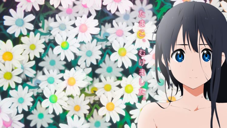 tamako, Market, Black, Hair, Blue, Eyes, Flowers, Kitashirakawa, Tamako, Nude, Tamako, Market HD Wallpaper Desktop Background