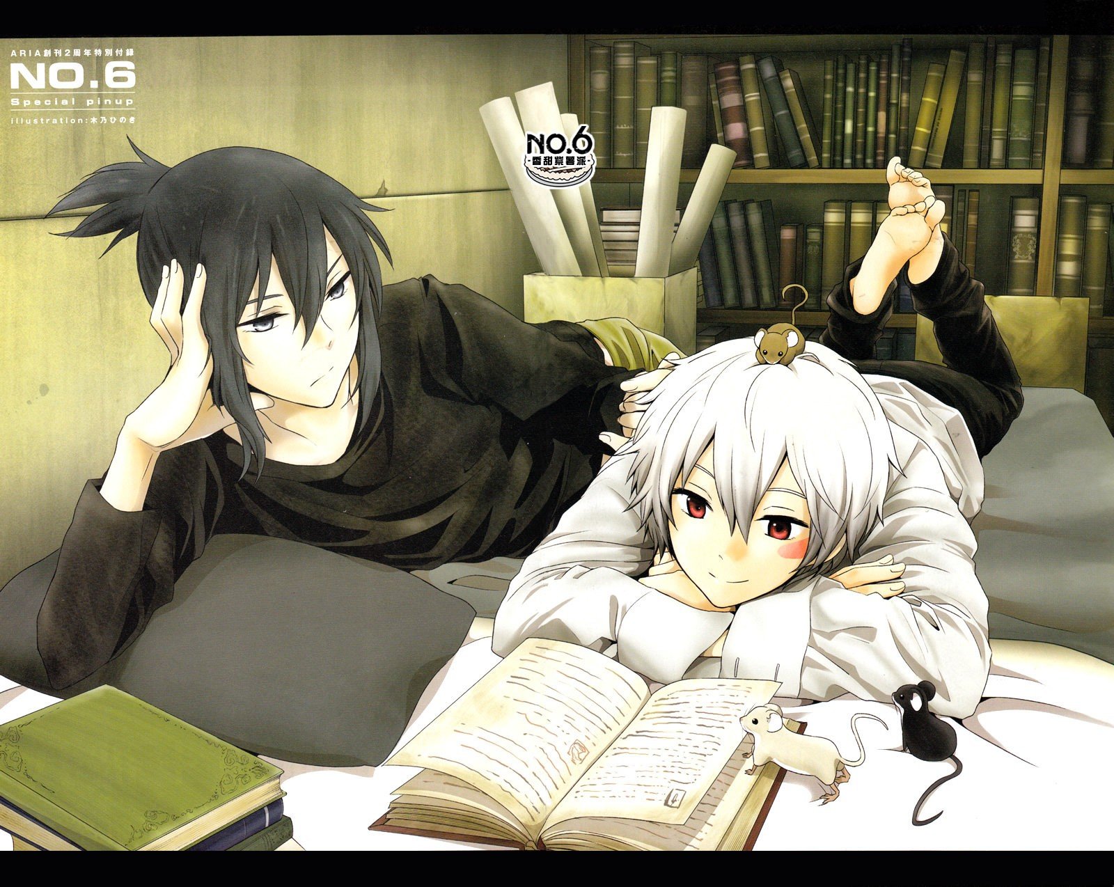 books, Anime, Anime, Boys, Shion, Nezumi, No, Wallpaper