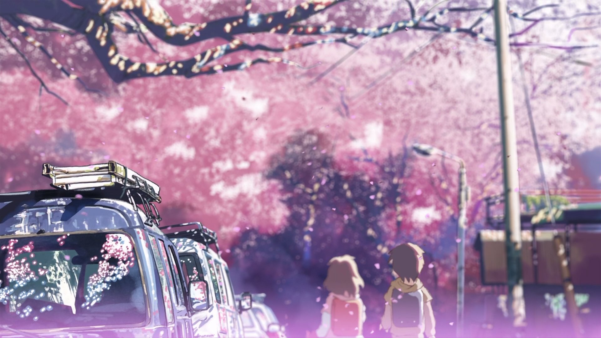 cherry, Blossoms, Makoto, Shinkai, 5, Centimeters, Per, Second Wallpaper