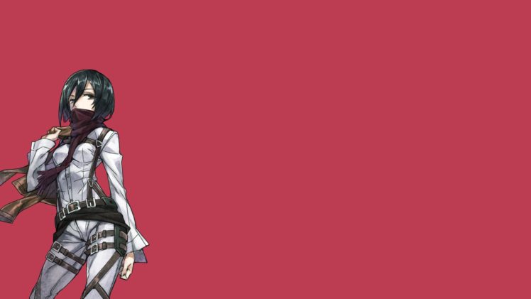 anime, Simple, Background, Anime, Girls, Shingeki, No, Kyojin, Mikasa, Ackerman HD Wallpaper Desktop Background
