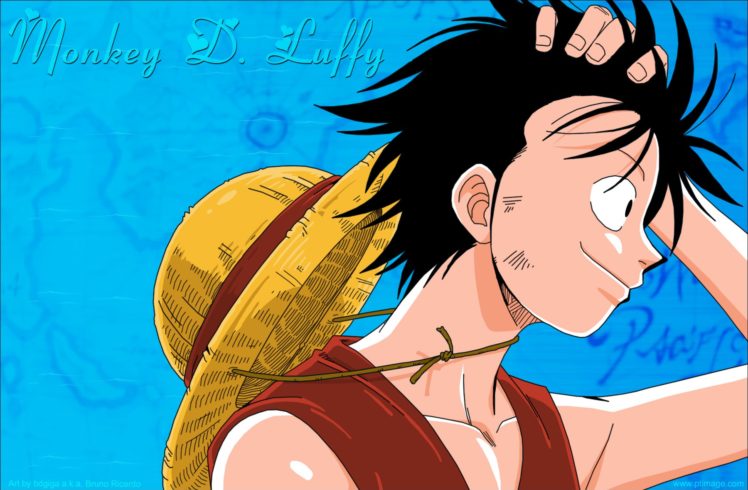 one, Piece, anime , Monkey, D, Luffy Wallpapers HD / Desktop and Mobile  Backgrounds