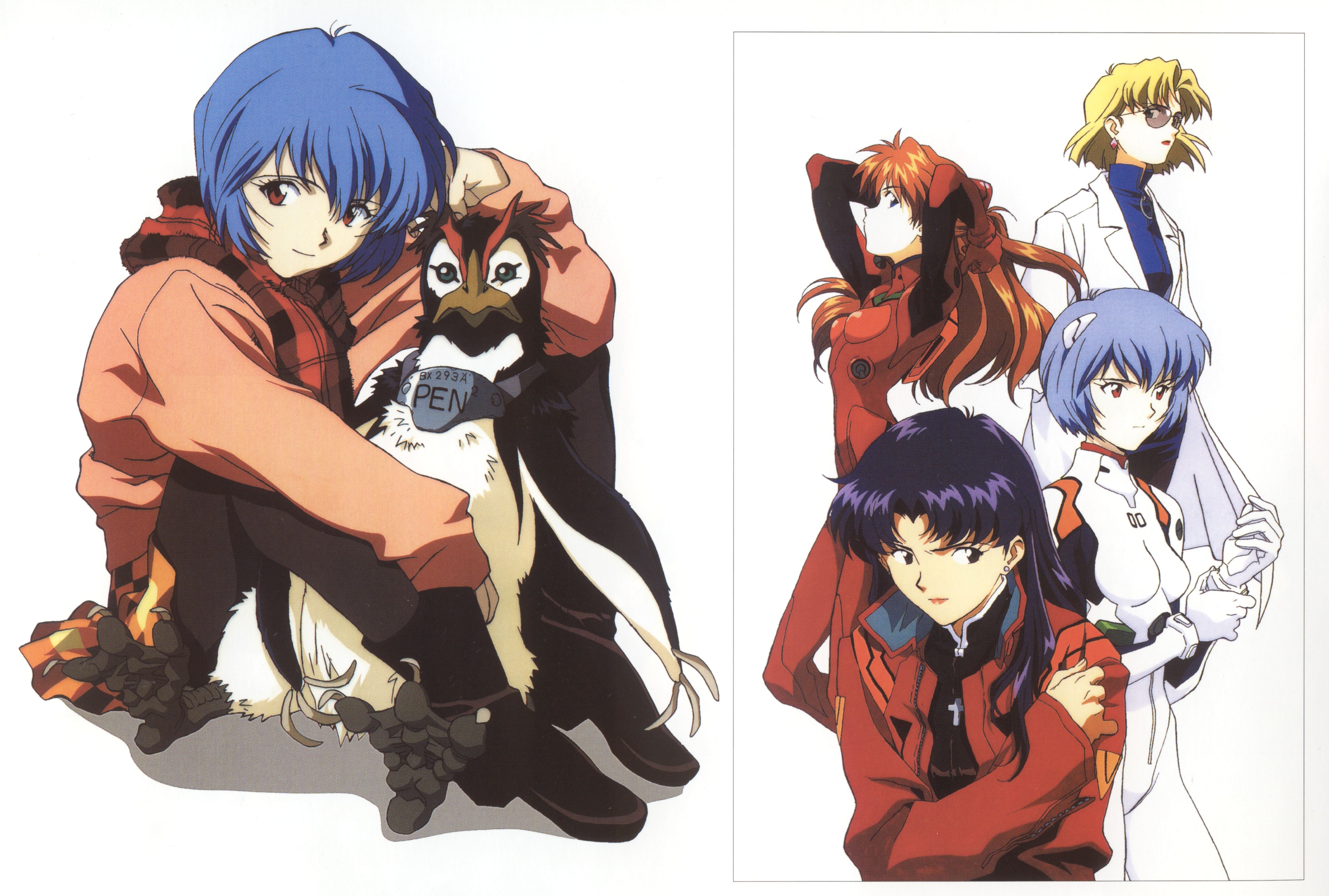 ayanami, Rei, Neon, Genesis, Evangelion, Katsuragi, Misato, Asuka, Langley, Soryu, Simple, Background Wallpaper