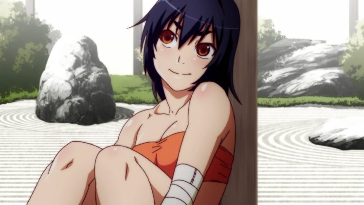 screenshots, Nisemonogatari, Kanbaru, Suruga HD Wallpaper Desktop Background