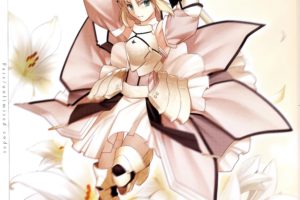 fate, Unlimited, Codes, Concept, Art, Artwork, Characters, Anime, Saber, Lily, Detached, Sleeves, Fate, Series