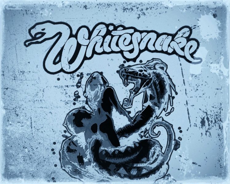whitesnake, Hair, Metal, Heavy, Hard, Rock, Poster HD Wallpaper Desktop Background