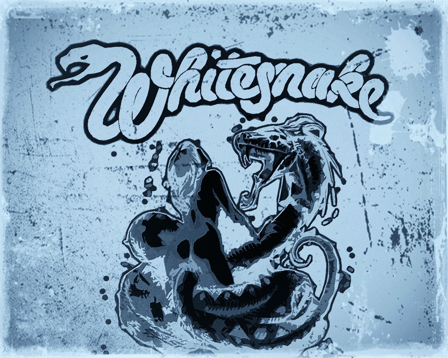 whitesnake, Hair, Metal, Heavy, Hard, Rock, Poster Wallpaper