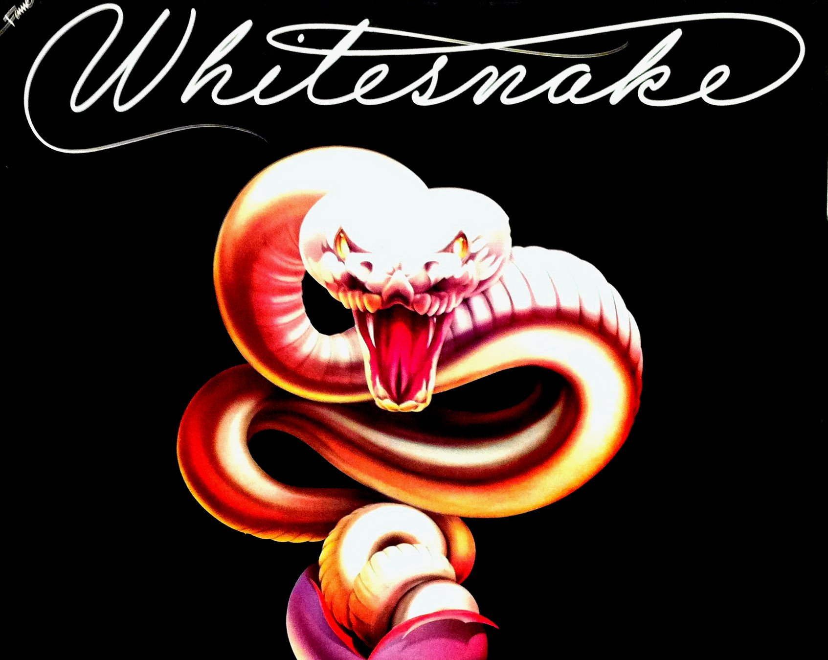 whitesnake, Hair, Metal, Heavy, Hard, Rock, Poster Wallpaper