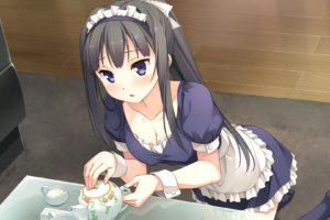 ayase, Sayuki, Black, Hair, Blush, Breasts, Cleavage, Cube, Game, Cg, Kantoku, Long, Hair, Maid, Ponytail, Your, Diary