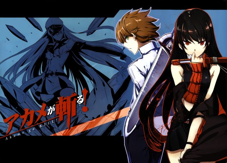 akame, Akame, Ga, Kill , Black, Hair, Brown, Hair, Esdese, Green, Eyes, Katana, Red, Eyes, Sword, Tashiro, Tetsuya, Tatsumi,  akame, Ga, Kill , Weapon HD Wallpaper Desktop Background