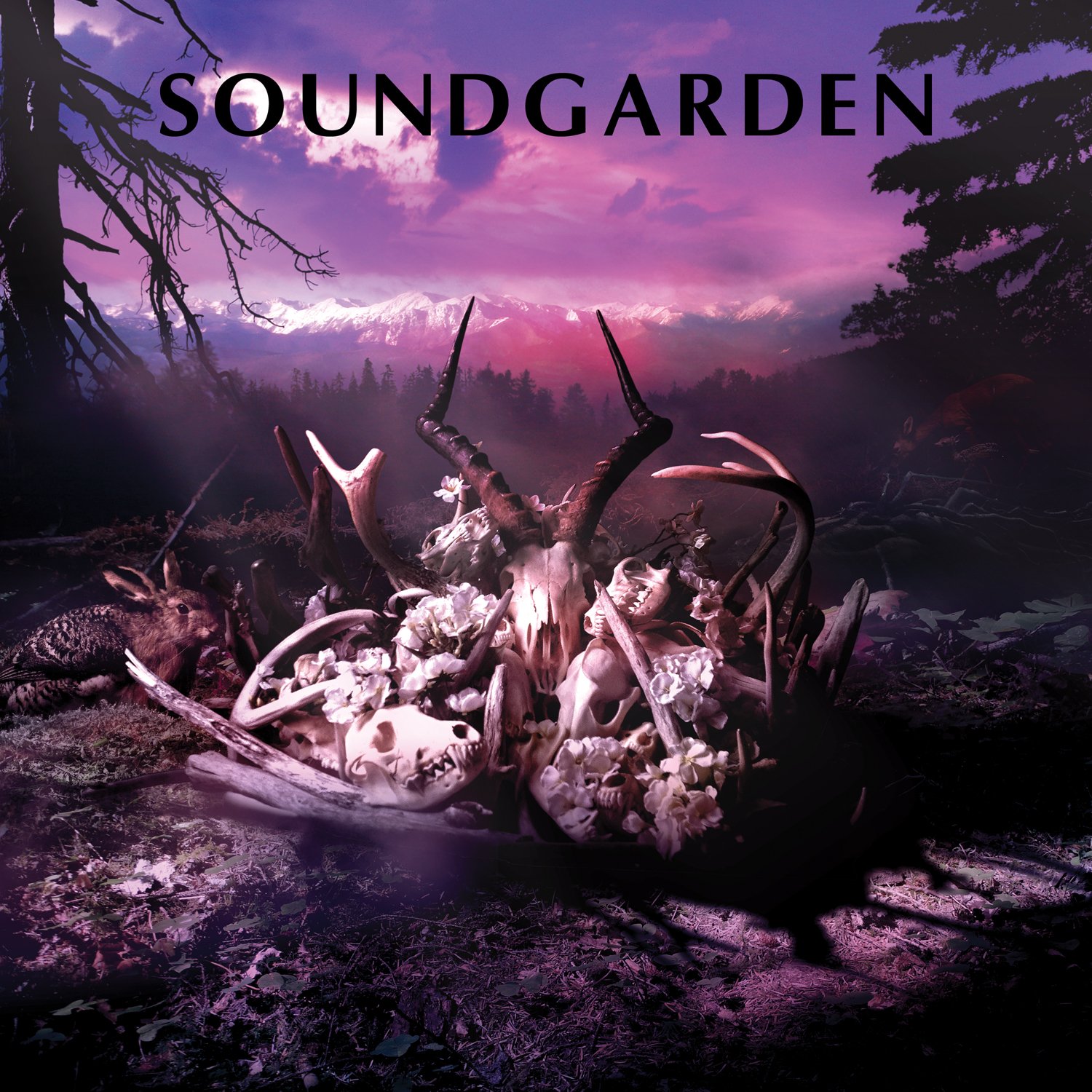 soundgarden, Alternative, Grunge, Heavy, Metal, Hard, Rock Wallpaper