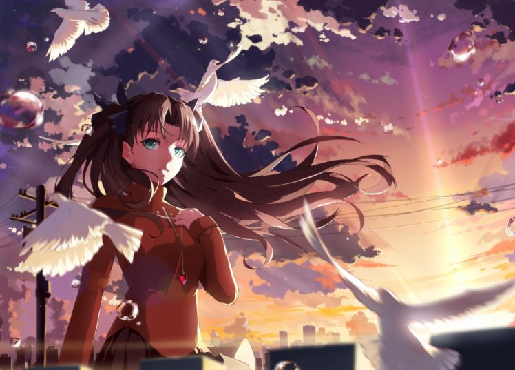 animal, Aqua, Eyes, Bird, Black, Hair, Bubbles, Clouds, Fate, Stay, Night, Jpeg, Artifacts, Long, Hair, Mr, Cloud, Necklace, Ribbons, Skirt, Sky, Sunset, Tohsaka, Rin HD Wallpaper Desktop Background