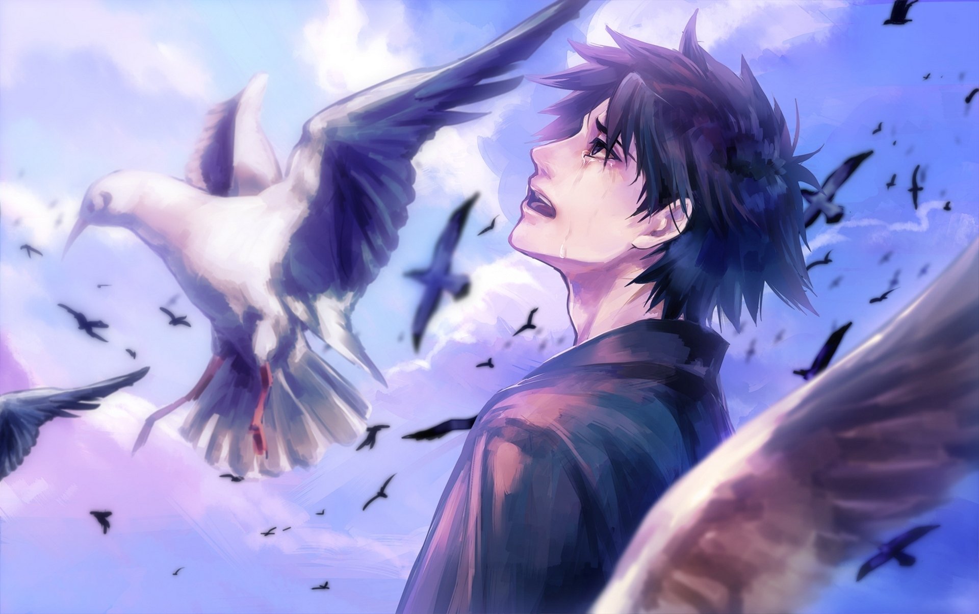 anime, Boy, Cry, Bird, Clouds, Sky Wallpaper
