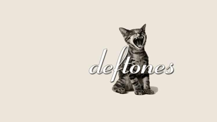 deftones, Alternative, Metal, Experimental, Rock, Nu metal, Heavy, Hard, Cat, Kitten HD Wallpaper Desktop Background