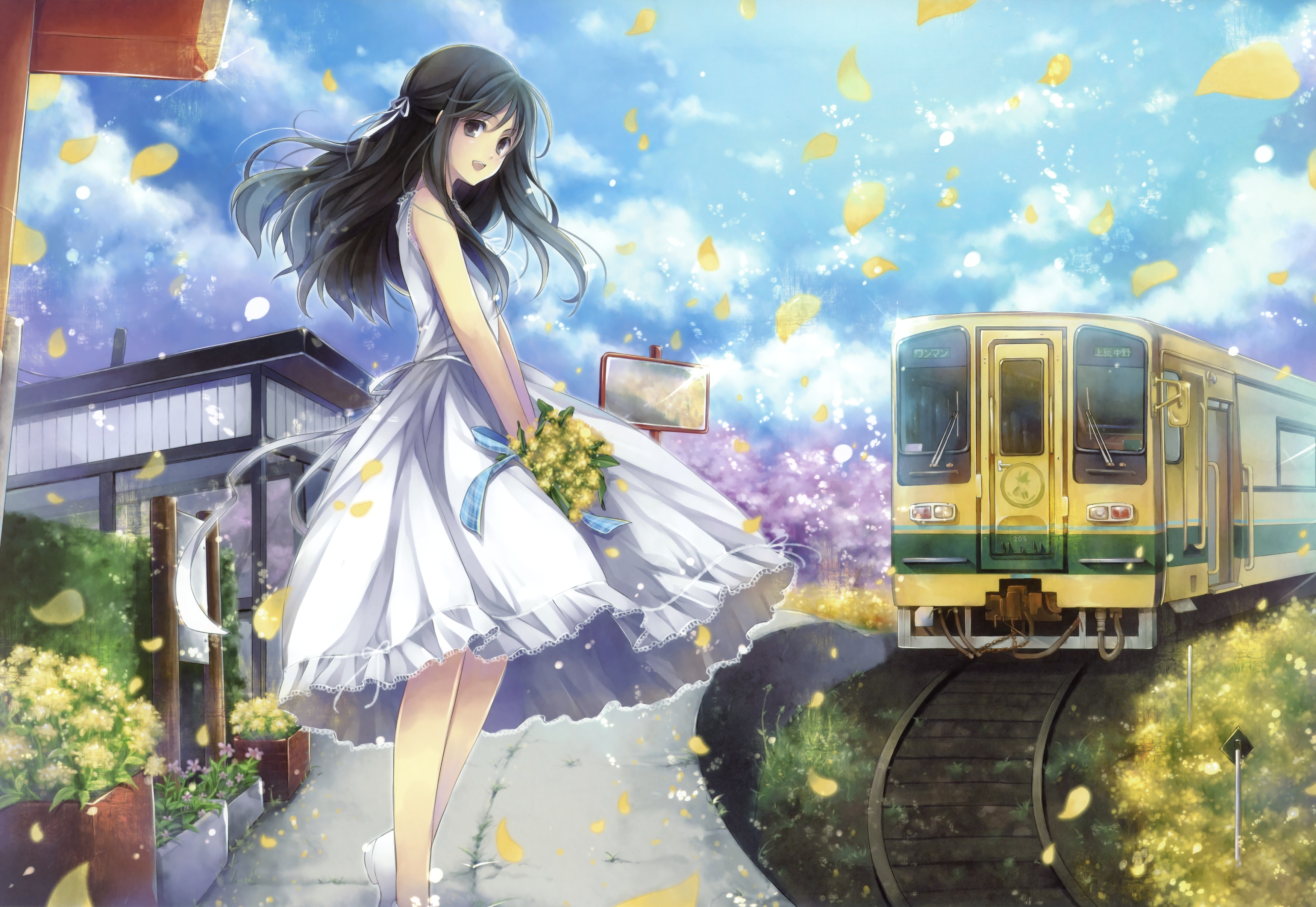 clouds, Dress, Flowers, Grass, Hagiwara, Rin, Landscape, Long, Hair, Original, Petals, Scenic, Sky, Summer, Dress, Train Wallpaper