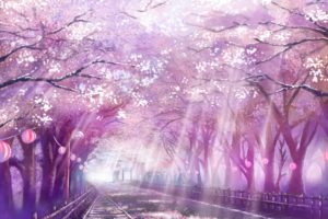 cherry, Blossoms, Monorisu, Original, Petals, Scenic, Tree