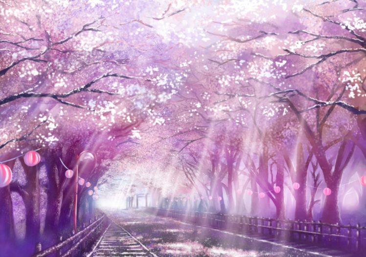 cherry, Blossoms, Monorisu, Original, Petals, Scenic, Tree HD Wallpaper Desktop Background